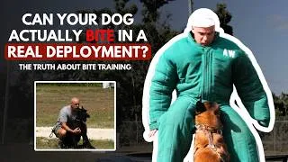 Thumbnail: Top-Level Dogs for Elite Units (What Most Trainers Don’t Understand) With Armin Winkler
