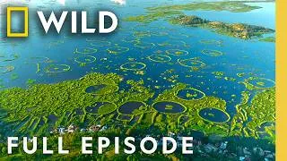 Thumbnail: The Natural Wonder of India (Full Episode) | India from Above | Nat Geo Animals