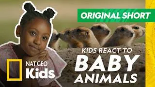 Thumbnail: Kids React to Baby Seahorses, Polar Bears and More!