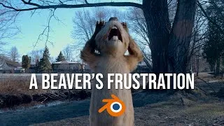 Thumbnail: A Beaver's Frustration Short Skit