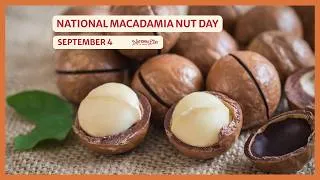 Thumbnail: NATIONAL MACADAMIA NUT DAY | September 4
