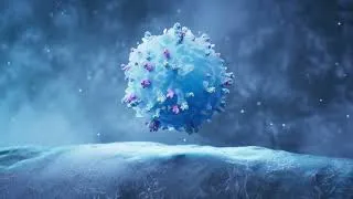 Thumbnail: Inside Pediatric Critical Care | Personalizing Treatment Through Immune Science