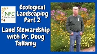 Thumbnail: Doug Tallamy: You are the future of conservation!