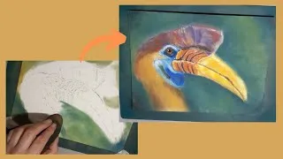 Thumbnail: Bright Bird In Pastel - Time-lapse