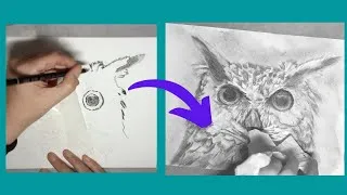 Thumbnail: Charcoal Owl - Time-lapse Drawing