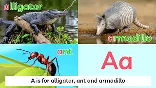 Thumbnail: Animal Alphabet Song ~ REAL ANIMALS ~ Learn 104 Animals - Natural English 4K