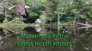 Thumbnail: Adventure in the Great North Woods  of New Hampshire