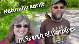 Thumbnail: Naturally Adrift The Search for Warblers