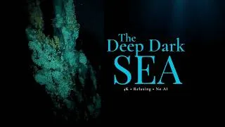 Thumbnail: The Abyss | Deep Sea Documentary for Sleep (4K)