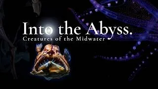 Thumbnail: Into the Abyss: Creatures of the Midwater (Full Movie)