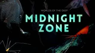 Thumbnail: Into the Midnight Zone: Secrets of the Ocean Void