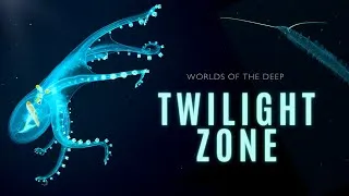 Thumbnail: Mysteries of the Twilight Zone | Worlds of the Deep