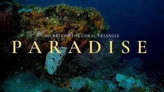 Thumbnail: An Underwater Paradise (Official Trailer)