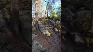 Thumbnail: EXPLORATION NATURE 360° 🌲