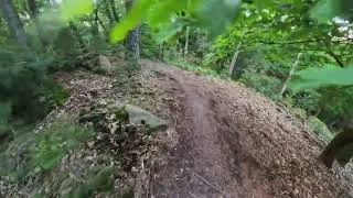 Thumbnail: ​8 Minutes d'Exploration Secrète en Forêt de Fontainebleau !