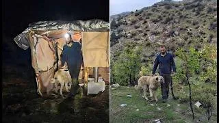 Thumbnail: Solo Bushcraft: Off-Grid Survival Cabin with My Dog