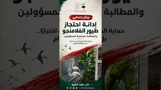 Thumbnail: بيان رسمي | الجمعية المصرية لحماية الطبيعة تدين احتجاز طيور الفلامنجو وتطالب بمحاسبة المسؤولين