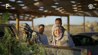 Thumbnail: Restoring Egypt's Native Flora | Ecological Landscaping at Marsa Shagra Eco-Village