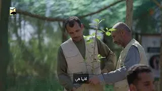 Thumbnail: Native Plant Restoration at Marsa Shagra Eco-Village