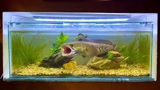Thumbnail: Meet My New Monster Fish 🐟 | I Built Its Natural Ecosystem