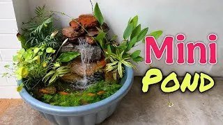 Thumbnail: I Built a Beautiful Mini Pond with a Real Waterfall!