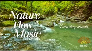 Thumbnail: [3시간] 스트레스 해소 힐링 음악 🌿 | 계곡 물소리와 평온한 선율 | Relaxing Background & Sleep Music