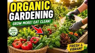 Thumbnail: Garden Naturally: How to Keep Pests Away Without Chemicals