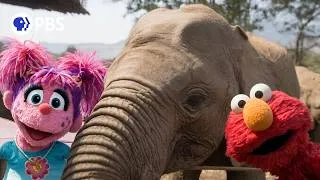 Thumbnail: Sesame Street and the Great Elephant Adventure | PBS Nature Trailer