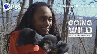 Thumbnail: Into the Wild: Going Wild with Dr. Rae Wynn-Grant is Back