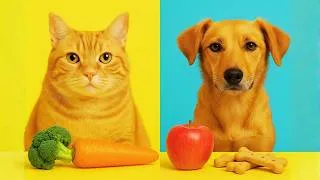 Thumbnail: Healthy Snacks for Cats and Dogs