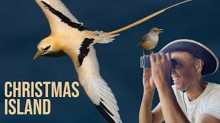 Thumbnail: Guide to Christmas Island's Birds & Wildlife | Australia's HIDDEN Paradise