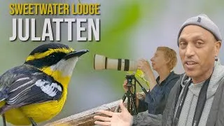 Thumbnail: Sweetwater Lodge Julatten | Our Birding Stay Review