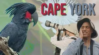 Thumbnail: Our MOST CHALLENGING Birding Trip EVER