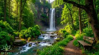 Thumbnail: Beautiful Relaxing Music🌿Healing Music for the Heart And Blood Vessels,  Anxiety Relief