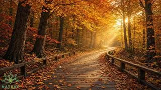 Thumbnail: Beautiful Relaxing Music 🌿Nature's Hidden Paradise, Relaxing Music for Peace, Sleep & Stress Relief