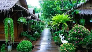 Thumbnail: 🌿A Peaceful Escape | Beautiful Green Restaurant with Relaxing Piano Music
