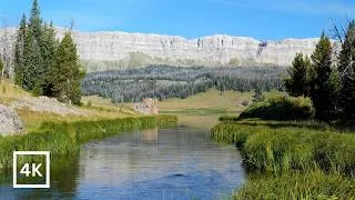 Thumbnail: 4K Mountain Morning | Shoshone National Forest | Peaceful River Sounds for Deep Sleep & Relaxation