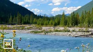 Thumbnail: 4K Wonder | Canadian Rockies | Peaceful River Sounds for Deep Sleep, Relaxation & White Noise