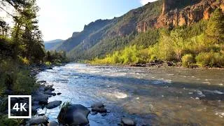 Thumbnail: 4K Sanctuary | Yellowstone National Park | Shoshone River Sounds for Deep Sleep & Relaxation