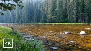Thumbnail: 4K A Quiet Morning | Lochsa River Sounds for Sleep & Relaxation | Nature Sounds & White Noise
