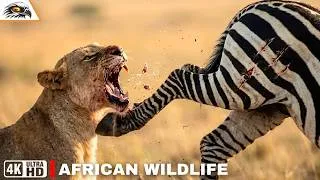 Thumbnail: AFRICAN WILDLIFE | Nature’s Most Dangerous Battleground | Wild Animal Battles