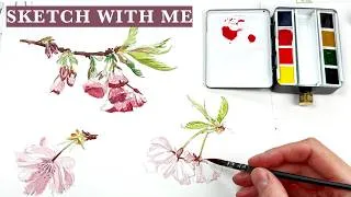 Thumbnail: Sketching Cherry Blossoms with the Schmincke Horadam Metal Water Tank Set