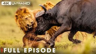 Thumbnail: Extraordinary Predators | Africa's Deadliest Hunts | FULL EPISODE | Wildlife Documentary