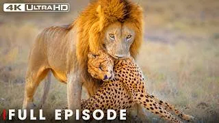 Thumbnail: Deadliest Predators | Only the Strongest Survive | FULL EPISODE | Wildlife Documentary