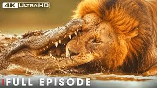 Thumbnail: The Most Dangerous Predators of Africa | FULL EPISODE | Wildlife Documentary
