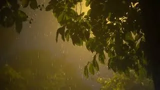 Thumbnail: Heavy rain and lightning on the streets.