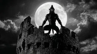 Thumbnail: Howling of the werewolf on a full moon night