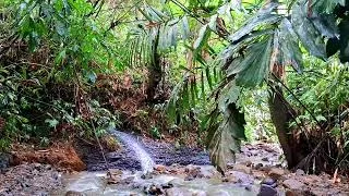 Thumbnail: 5 Minutes Relaxing With Gentle Mountain Stream Sounds,Calming Water Flowing In Deep Forest.