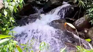 Thumbnail: Peaceful River Sounds For Deep Focus,Relaxing Mind & Peaceful Sleep.