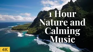 Thumbnail: 1 Hour Calming Music and Nature Footage For Work, Study and Relaxation | Relaxing Scenery